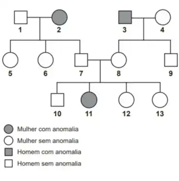 O heredograma mostra a incidência de uma anomalia genética em um grupo familiar. O heredograma mostra a incidência de uma anomalia genética em um grupo familiar.