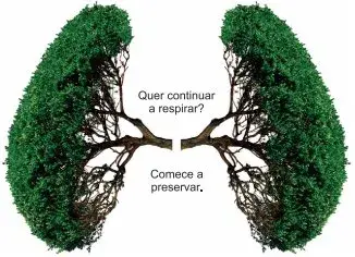 A importância da preservação do meio ambiente para a saúde é ressaltada pelos recursos verbais e não verbais utilizados nessa propaganda da SOS Mata Atlântica. No texto, a relação entre esses recursos