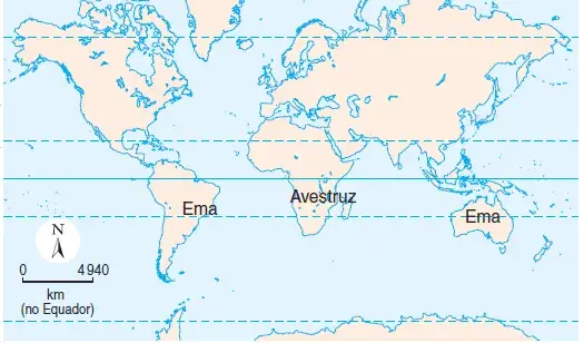 No mapa, é apresentada a distribuição geográfica de aves de grande porte e que não voam. No mapa, é apresentada a distribuição geográfica de aves de grande porte e que não voam.