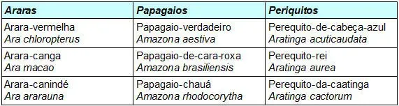 O grupo de aves relacionadas compreende: O grupo de aves relacionadas compreende: