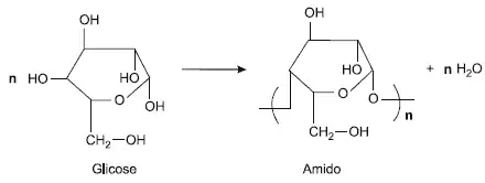 O amido é uma macromolécula formada a partir da interação de moléculas de glicose e funciona como reserva de energia nos vegetais, principalmente nas raízes O amido é uma macromolécula formada a partir da interação de moléculas de glicose e funciona como reserva de energia nos vegetais, principalmente nas raízes