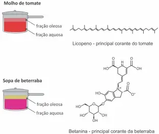 Considerando as informações apresentadas no texto e no quadro, a principal razão para a diferença de coloração descrita é que a fração oleosa Considerando as informações apresentadas no texto e no quadro, a principal razão para a diferença de coloração descrita é que a fração oleosa