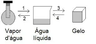 Considere as transformações a que é submetida uma amostra de água, sem que ocorra variação da pressão externa: Considere as transformações a que é submetida uma amostra de água, sem que ocorra variação da pressão externa: