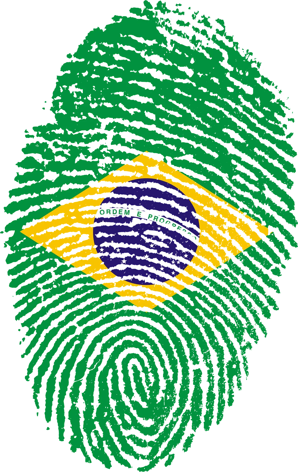 A Importância da Cultura Popular na Construção e na Valorização da História Brasileira A Importância da Cultura Popular na Construção e na Valorização da História Brasileira